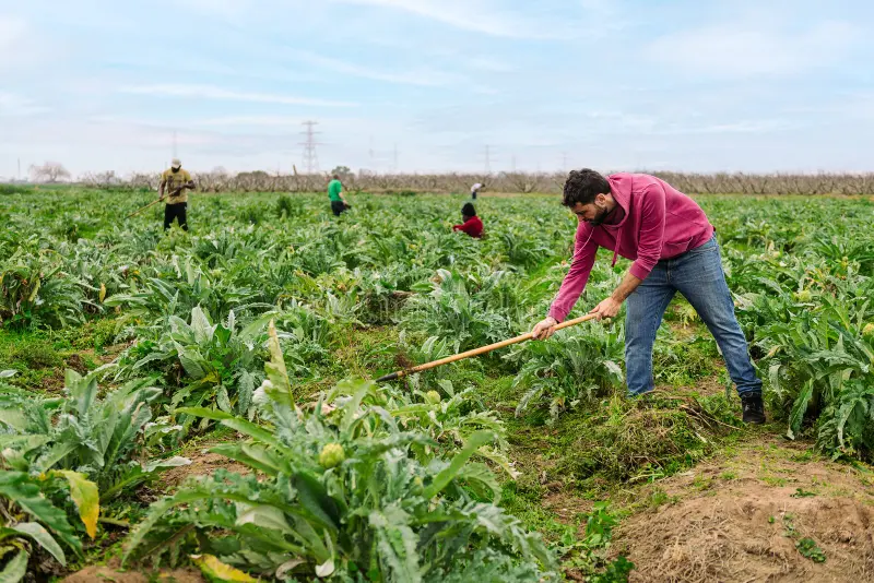 Reaching 35,000 Farmers